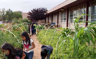 Home - Gregory Gardens Elementary School