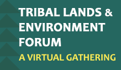 TLEF: A Virtual Gathering
