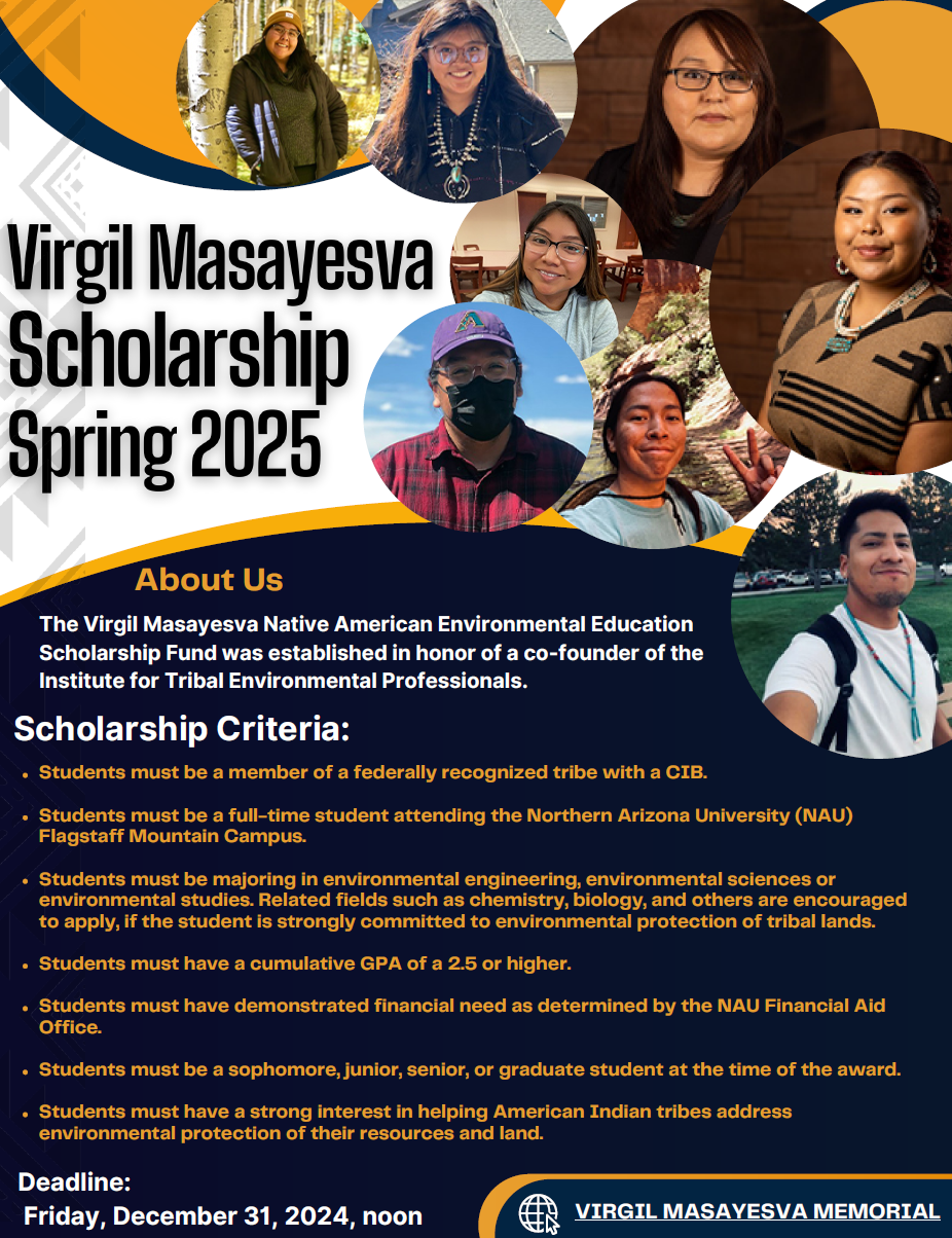 VM Scholarship Flyer 1