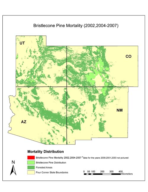 Bristlecone Pine Mortality 2000-2007