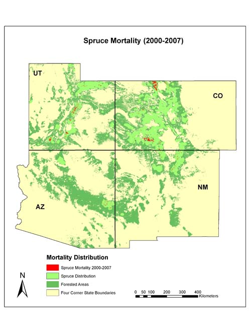Spruce Mortality 2000-2007
