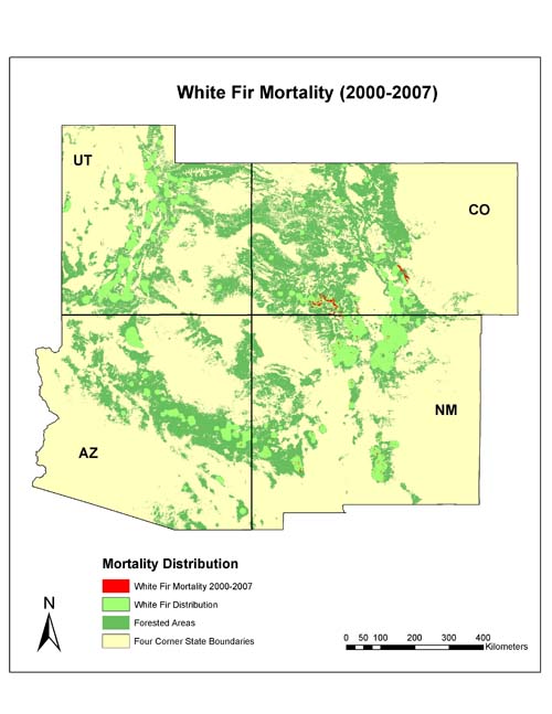 White Fir Mortality 2000-2007