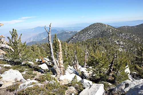 Mountain view image