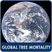 Global Tree Mortality